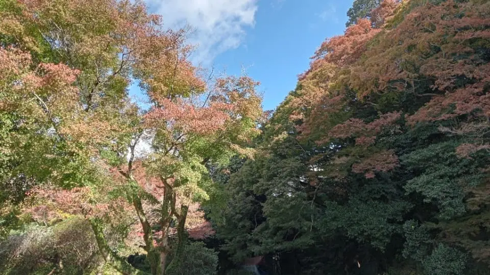 2023年11月18日時点