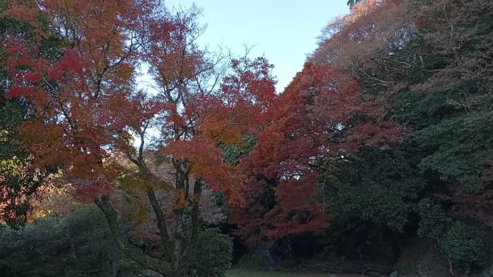 2023年12月2日時点